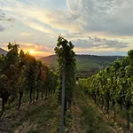 شقة Gaestehaus Lavendel An Der Mosel زينهايم