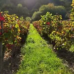 Gaestehaus Lavendel An Der Mosel شقة زينهايم