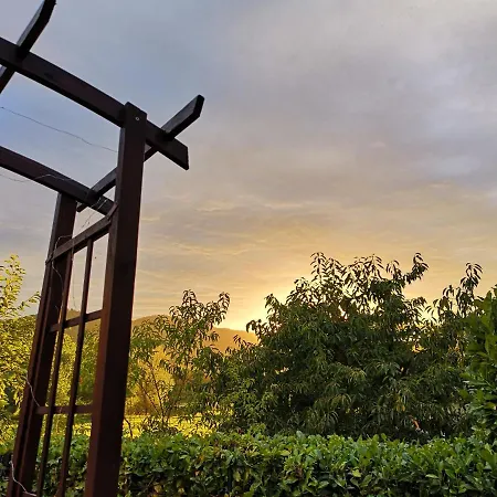 Apartment Gaestehaus Lavendel An Der Mosel *