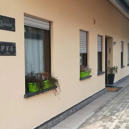 Gaestehaus Lavendel An Der Mosel Senheim