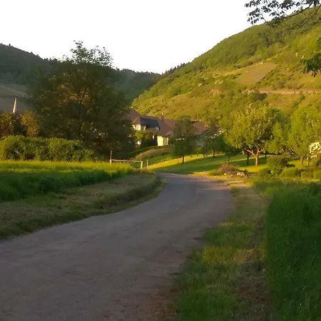 Gaestehaus Lavendel An Der Mosel Apartment