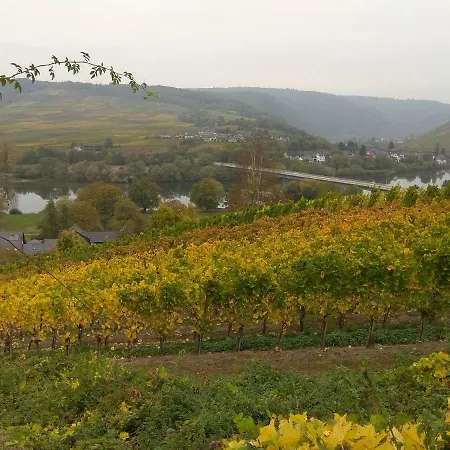 Gaestehaus Lavendel An Der Mosel Appartement