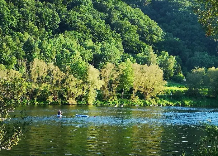 Lavendel An Der Mosel