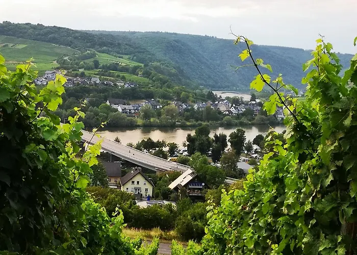 Gaestehaus Lavendel An Der Mosel *