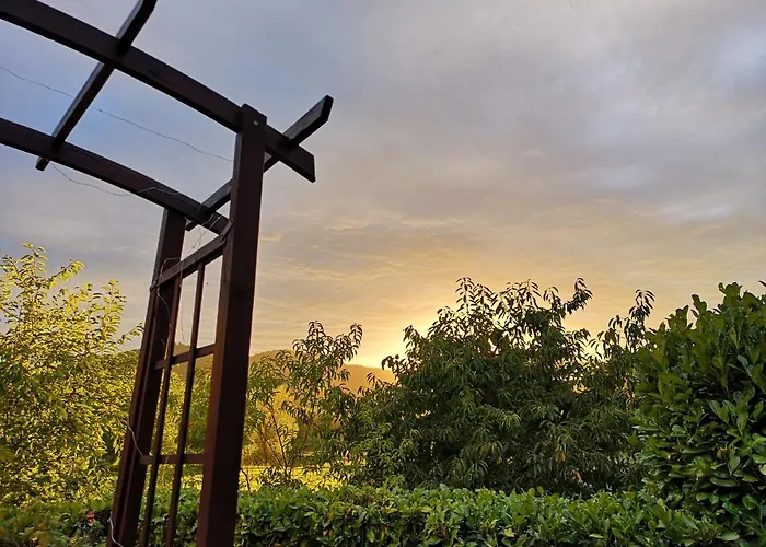 Lejlighed Gaestehaus Lavendel An Der Mosel *