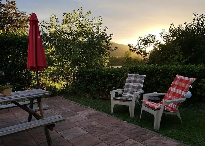 Lavendel An Der Mosel *