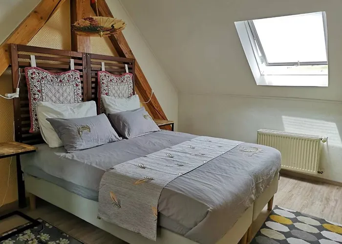 Lavendel An Der Mosel Senheim