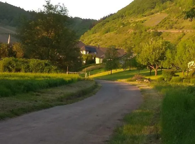 Gaestehaus Lavendel An Der Mosel Lejlighed