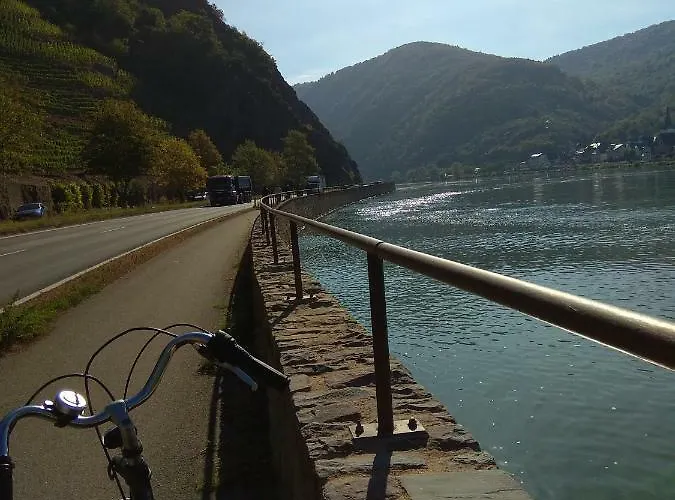 Lavendel An Der Mosel * Senheim