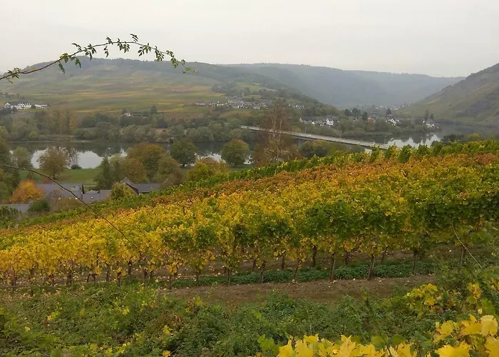 Gaestehaus Lavendel An Der Mosel Appartement