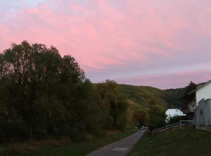 Lejlighed Gaestehaus Lavendel An Der Mosel *